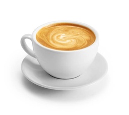 [Café Menu] Cappuccino - Regular